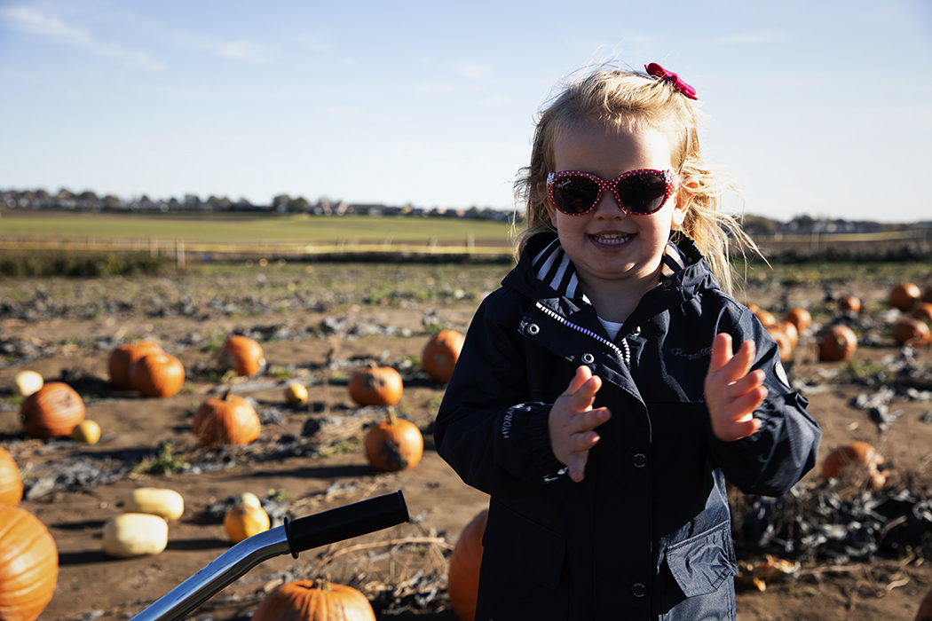 Pumpkin picking at Farmer Copleys