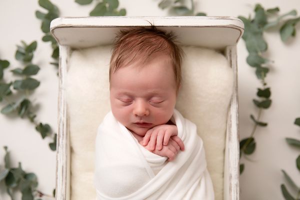 fresh foliage used at newborn photography shoot in leeds